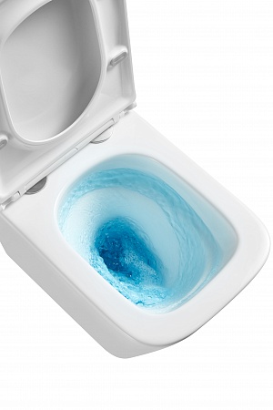 Подвесной унитаз безободковый Terminus Ватикан Монолит 490х340 белый Усть-Илимск - фото 8