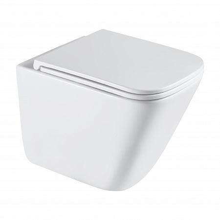 Подвесной унитаз безободковый Terminus Ватикан Монолит 490х340 белый Усть-Илимск - фото 2