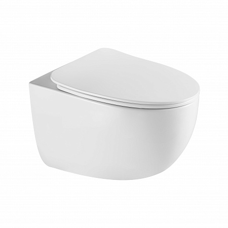 Подвесной унитаз безободковый Terminus Енисей Монолит 560х390 белый Усть-Илимск - фото 2