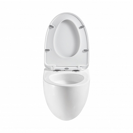 Подвесной унитаз безободковый Terminus Енисей Монолит 560х390 белый Усть-Илимск - фото 5